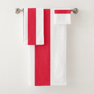 Bandera del estado de Washington DC