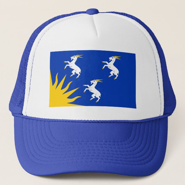 Bandera del Gorra de Merionethshire (Anverso)