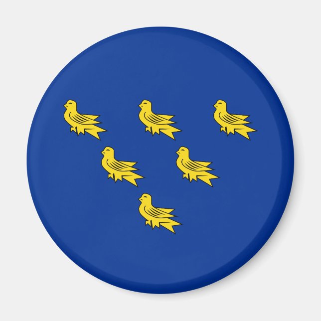 Bandera del imán Sussex (Frente)