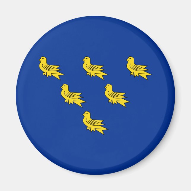 Bandera del imán Sussex (Frente)