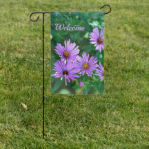 Bandera del Jardín Purple Aster