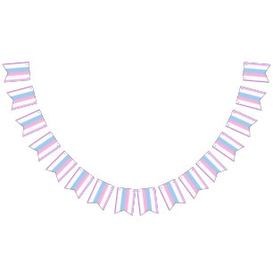 Bandera del Orgullo Bisexual Banner Bunting Fiesta