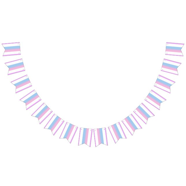 Bandera del Orgullo Bisexual Banner Bunting Fiesta (Todo)