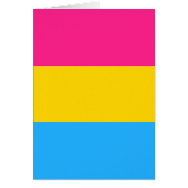 Bandera del orgullo pansexual LGBTQ (Frente)