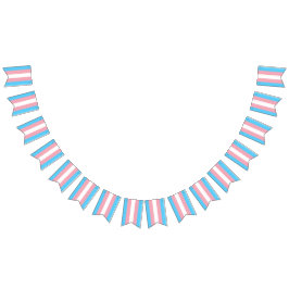 Bandera del Orgullo Transgénero