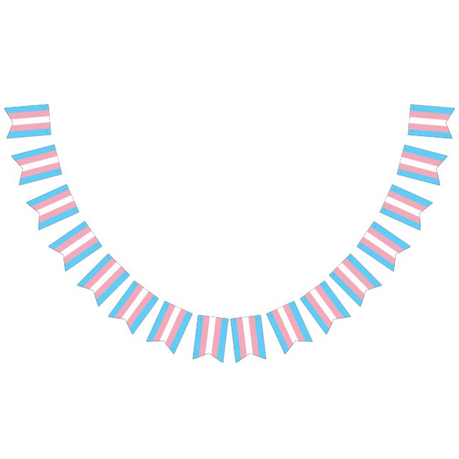 Bandera del Orgullo Transgénero (Todo)