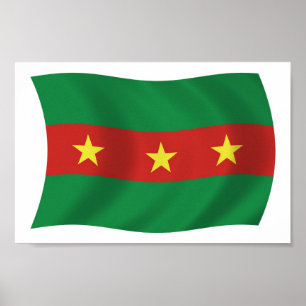 Bandera del Pueblo Ewe Póster Impreso