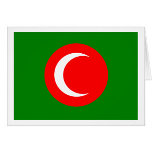 Bandera del Reino del Kurdistán (1922-1924, 1925)