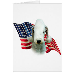 Bandera del Territorio de Bedlington