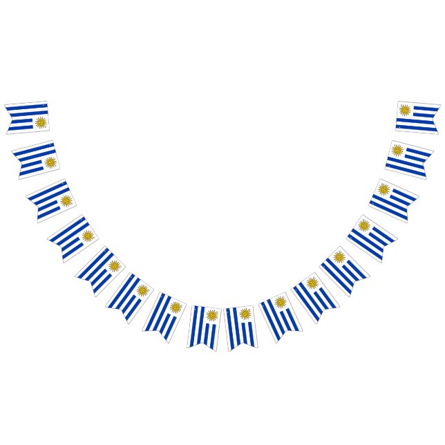 Bandera del Uruguay (Todo)