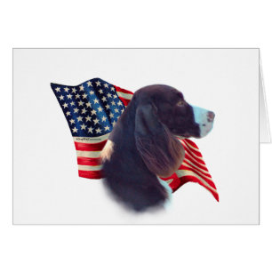 Bandera española Springer