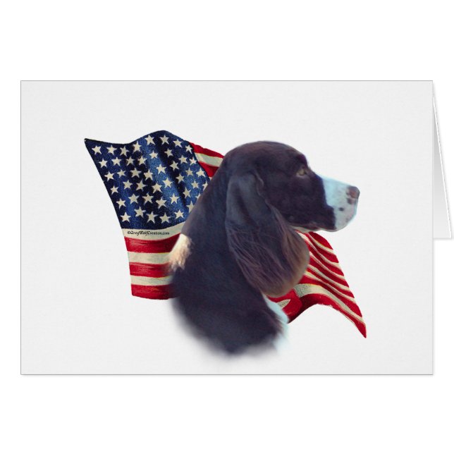 Bandera española Springer (Anverso (Horizontal))