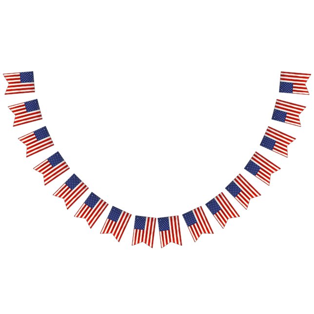 Bandera estadounidense (Todo)