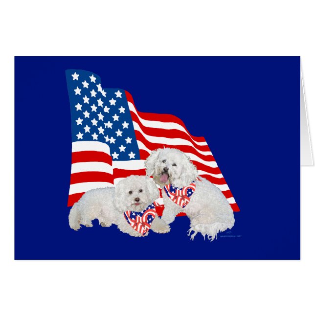 Bandera estadounidense Bichon Frise (Anverso (Horizontal))