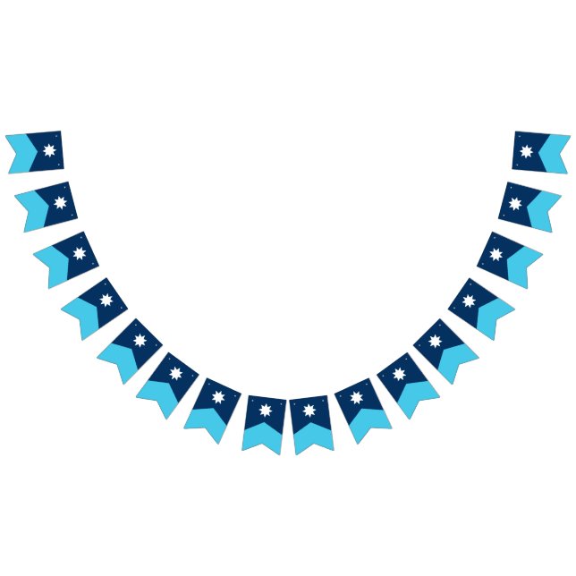 Bandera estatal de Minnesota Pennant Bunting (Todo)