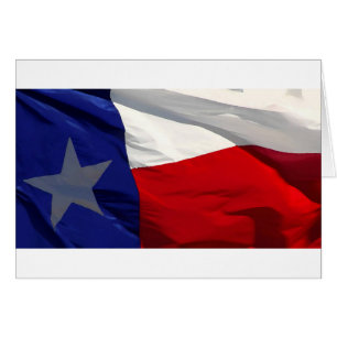 Bandera Estatal de Texas