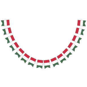 Bandera húngara de la bandera