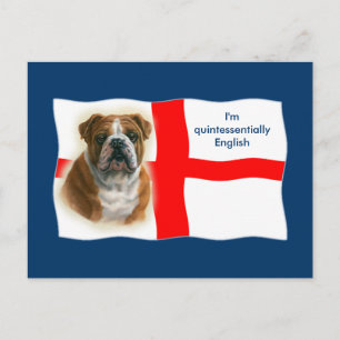 Bandera inglesa y postal de bulldog