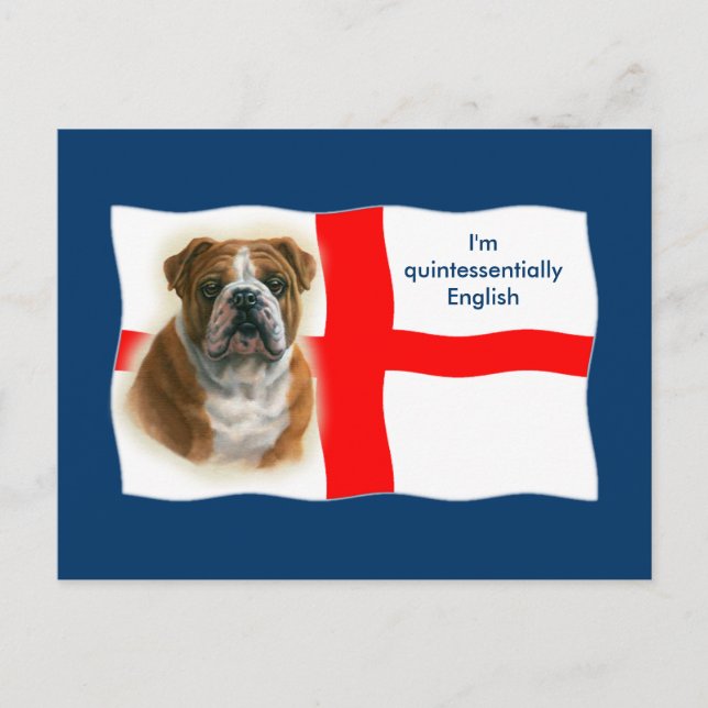 Bandera inglesa y postal de bulldog (Anverso)