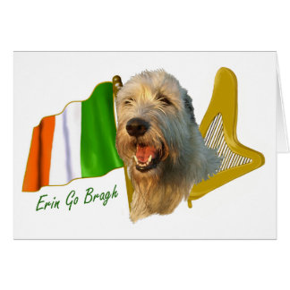 Bandera irlandesa y arpa del Wolfhound irlandés