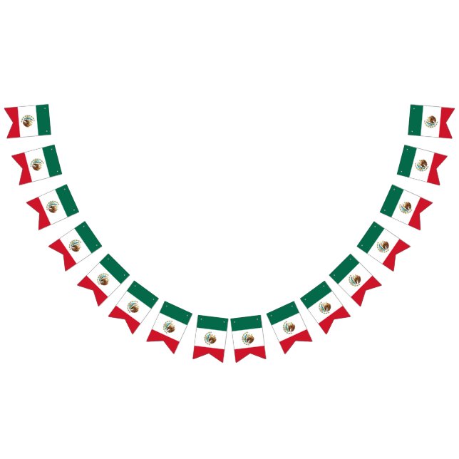 Bandera mexicana - Bandera de México (Todo)