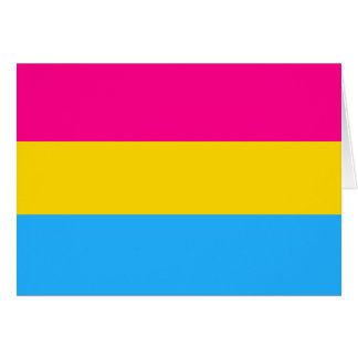 "BANDERA PANSEXUAL DEL ORGULLO "
