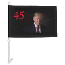 BANDEJA DE COCHE TRUMP