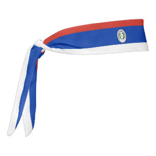 Bandera paraguaya elegante patriótica