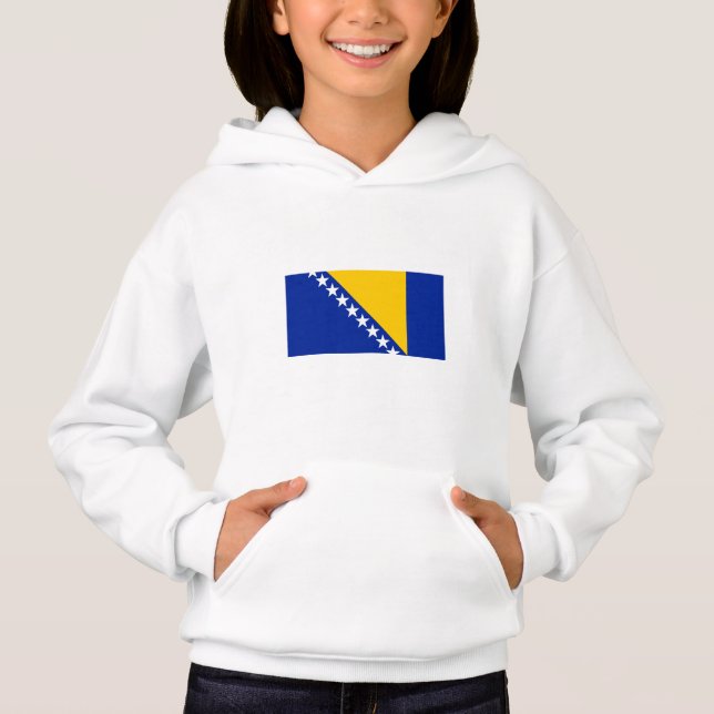 Bandera patriótica de Bosnia y Herzegovina (Anverso)