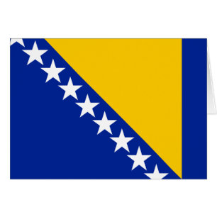 Bandera patriótica de Bosnia y Herzegovina