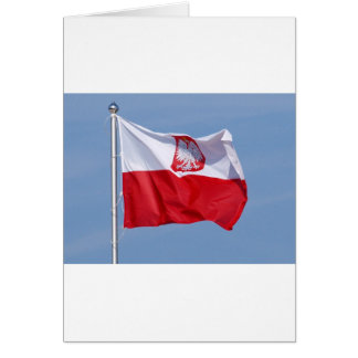 BANDERA POLACA