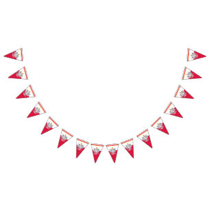 Bandera polaca y Fiesta Polonia Banderas/Bodas de