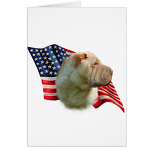 Bandera Shar-Pei china