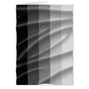 BANDERA STRAIGHT VOLANDO -.png