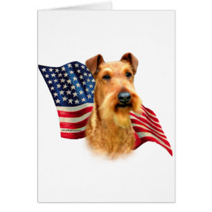 Bandera territorial irlandesa