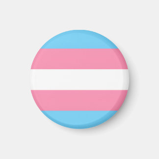 bandera trans en imán