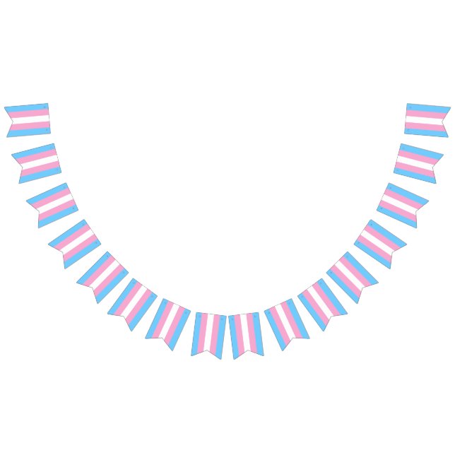 Bandera transgénero Banner Bunner Fiesta LGBT (Todo)