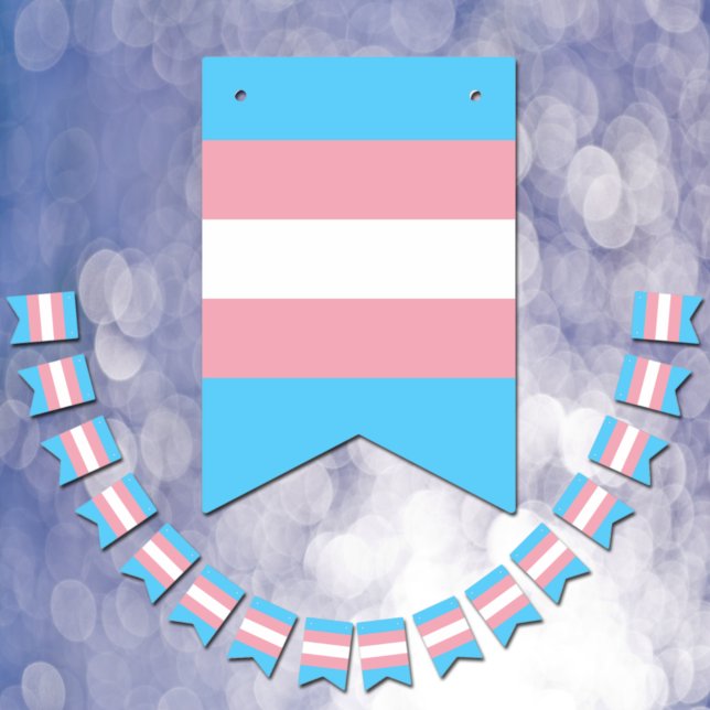 Bandera transgénero y bandera de la comunidad del  (Subido por el creador)