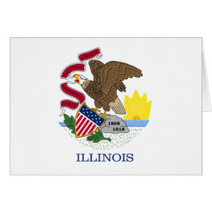 Bandera y foco de Illinois