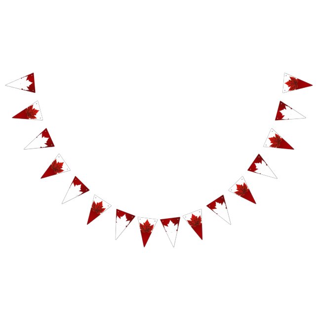 Banderas de Bunting Canada Day Decorations (Todo)