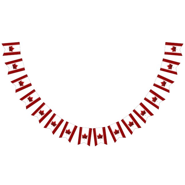 Banderas de Bunting de Bandera de Canadá Souvenir  (Todo)