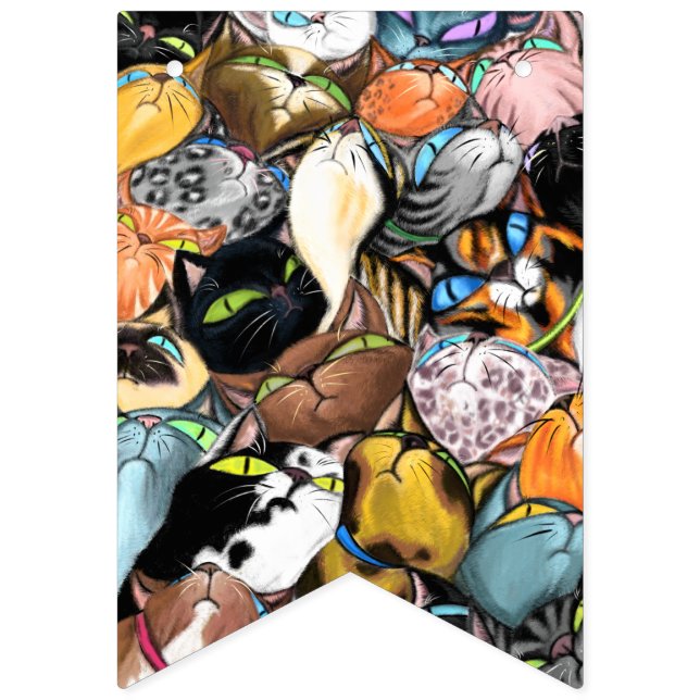 Banderas de Bunting de Cumpleaños con Fiesta Gato  (Primera bandera)