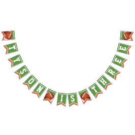 Banderas de Bunting de cumpleaños sobre el tema de