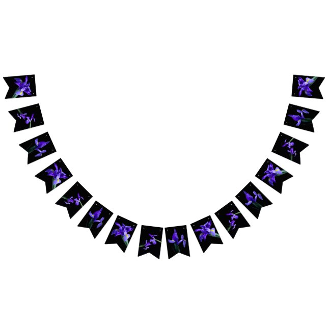 Banderas De Bunting De Iris Púrpura (Todo)