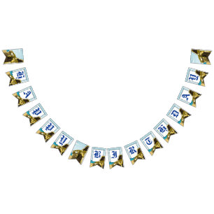 Banderas de Bunting de la fiesta de cumpleaños del