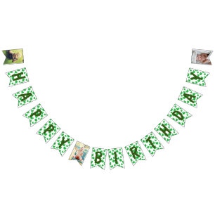 Banderas de Bunting Frog Happy Birthday