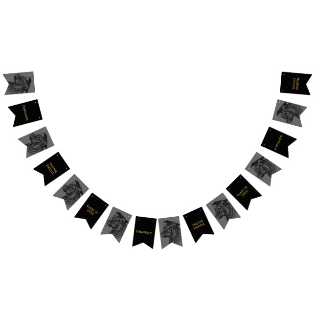 Banderas de Bunting Party de Graduación (Todo)