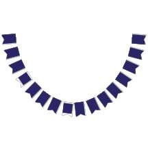 Banderas de Bunting personalizado | Fiesta y Decor
