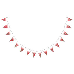 Banderas de graduación y Bunting Fiesta Decoraci