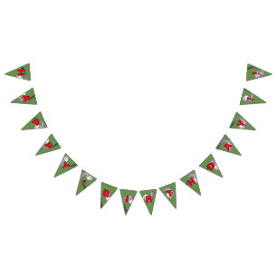 BANDERAS de la bandera del cumpleaños del béisbol